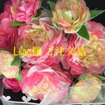Lilac様 ご注文品
