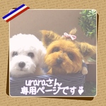 urara様専用ページとなっております😊🍀