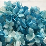 特価【再販4】ソフトピラミッド　 紫陽花　ブルーホワイト