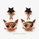 星と猫のピアス