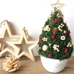 木の実のクリスマスツリー＊
