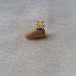 粘土のミニチュア多肉 