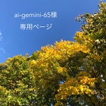 ai-gemini-65様 専用ページ