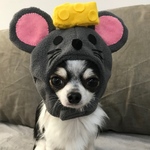 2020 干支 ねずみさんかぶり物 年賀状に♪