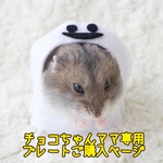 チョコちゃんママ専用ご購入ページ