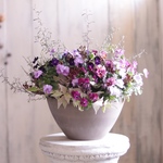大人かわいいパンビオの花束植え