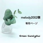 melody2002様オーダー専用ページ