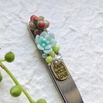 可愛い多肉ピンセット(j)