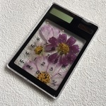 コスモスの押し花電卓