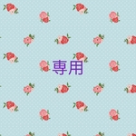シュシュなど