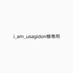 i_am_usagidon様専用