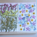  mai-riisa様専用ページ 押し花小花セット