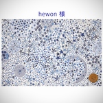 ◆hewon様専用◆