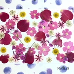 ♡new♡  ♡可愛い押し花セット♡ ♡使いやすい少量の押し花セット♡