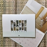 お買い物で繋がる猫達の命［sakuraneko］オリジナル2020年版カレンダー（ラッピング無料）