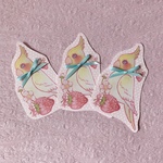 リボン付き🎀メッセージカード❤️オカメインコ