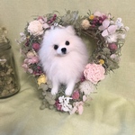 羊毛フェルト　ポメラニアン のハートリース