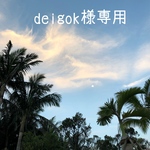 deigok様オーダー専用です