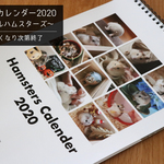【なくなり次第終了】2020年ハムカレンダー｜オールハムスターズ（壁掛けA4版）