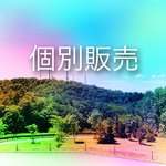 t-chiko様専用ページ