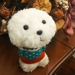 ぽっけに手 ビションフリーゼ ぬいぐるみ