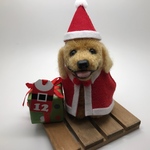 Xmas  ゴールデンサンタとプレゼント