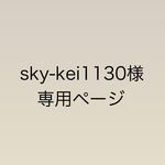 sky-kei1130様専用