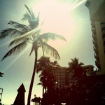 おさるさま専用ページ