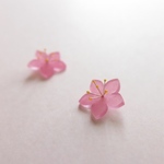 桃の花