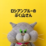 ロシアンブルーのぷく山さん