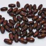 N600  30g ウッドビーズ タル型 ナチュラル ブラウン 6×12mm  3X【10g】