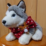 ＱTシュシュ(クリスマス🎄サンタ🎅&トナカイ)