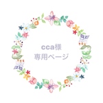 専用ページ