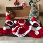 早割★送料無料★帽子とマントセット 犬用クリスマス　コスプレ