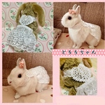 【ご予約商品】 ♡ハートのレースエプロン♡