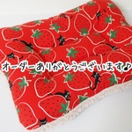  ［Ｙさま専用ページ] ボアざぶ（特注サイズ・いちごと黒猫）