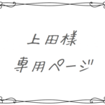 上田様専用ページ＊ヘアピン