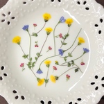 ゴールドダスト&青の花(押し花)