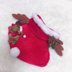 ♡うさぎハーネス♡クリスマス♡