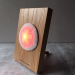 ウニ殻標本 LEDライト