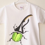 キッズ120  ヘラクレスオオカブトプリントTシャツ