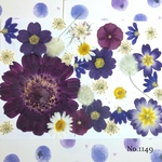 ♡new♡  ♡可愛い押し花セット♡ ♡使いやすい少量の押し花セット♡