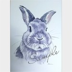 ペット似顔絵描きます☆