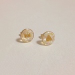 シェルピアス