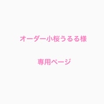 オーダー小桜うるる様専用ページ
