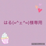 ラミネートの小さなお財布☆はる(=^ェ^=)様専用