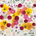 ♡new♡  ♡可愛い押し花セット♡ ♡使いやすい少量の押し花セット♡