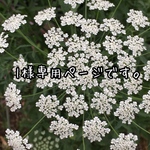 l様 専用ページです。