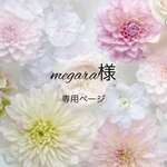 megara様🌸