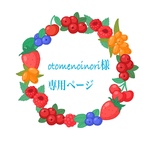 otomenoinori様専用ページ
